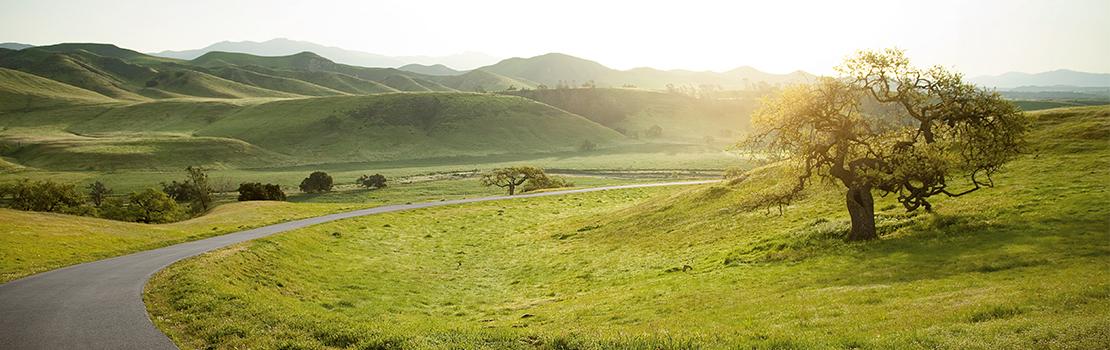 Dieses Bild präsentiert eine weitläufige, sanft hügelige Landschaft, die in das warme, goldene Licht der tiefstehenden Sonne getaucht ist. Eine schmale, perfekt asphaltierte Straße schlängelt sich elegant durch das satte Grün der Wiesen und führt den Blick des Betrachters in die Ferne zu den dunstigen Silhouetten der Berge. Im rechten Vordergrund steht ein charakterstarker, knorriger Baum, dessen Blätterwerk von der Sonne von hinten beleuchtet wird und so einen leuchtenden Akzent setzt. Die gesamte Szenerie strahlt eine tiefe Ruhe und Harmonie aus und dient als visuelle Metapher für eine saubere, lebenswerte Zukunft im Einklang mit der Natur.